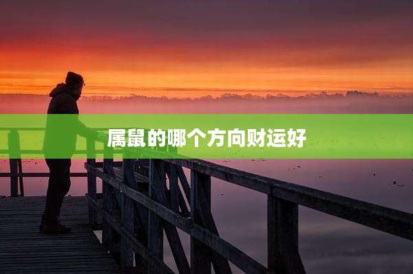属鼠的哪个方向财运好