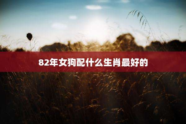 82年女狗配什么生肖最好的