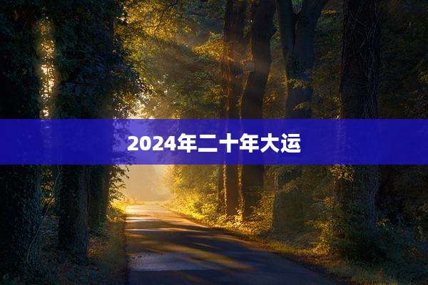 2024年二十年大运