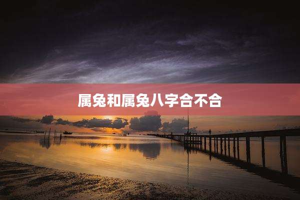 属兔和属兔八字合不合