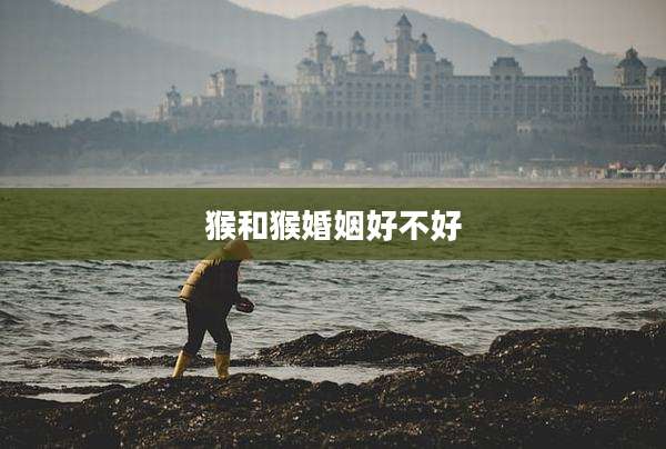猴和猴婚姻好不好