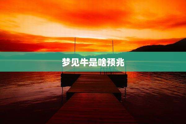 梦见牛是啥预兆