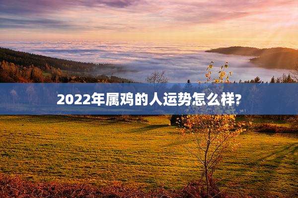 2022年属鸡的人运势怎么样?