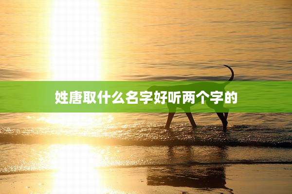 姓唐取什么名字好听两个字的