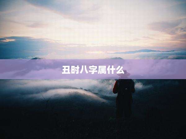 丑时八字属什么