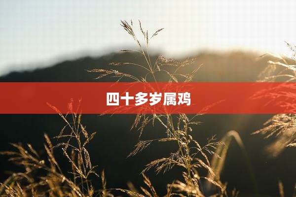 四十多岁属鸡