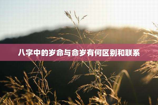 八字中的岁命与命岁有何区别和联系