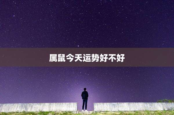 属鼠今天运势好不好