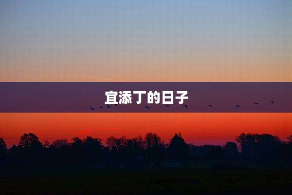 宜添丁的日子