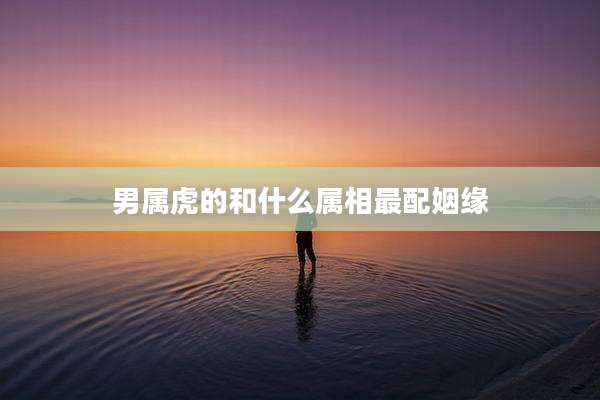 男属虎的和什么属相最配姻缘
