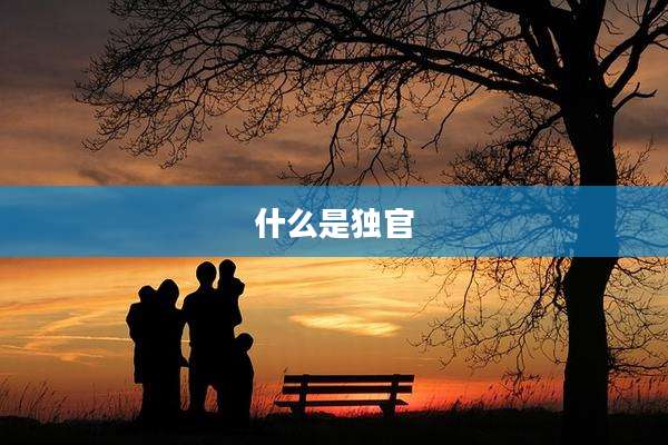 什么是独官