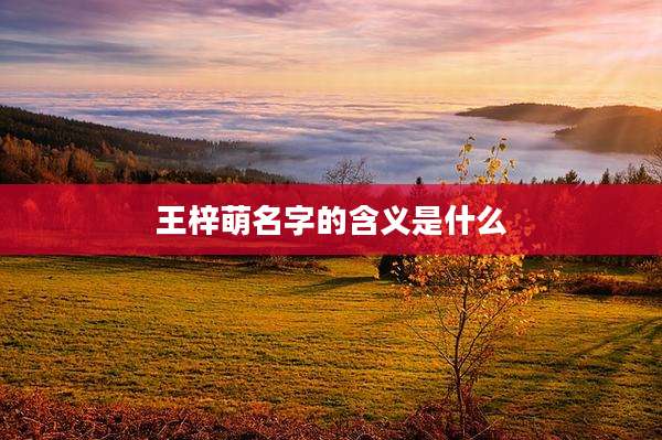 王梓萌名字的含义是什么