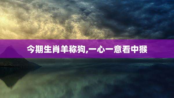今期生肖羊称狗,一心一意看中猴