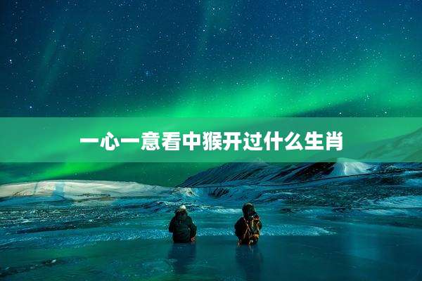 一心一意看中猴开过什么生肖
