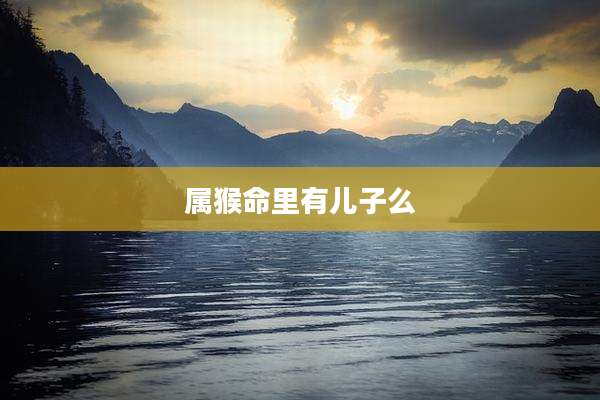 属猴命里有儿子么