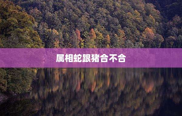 属相蛇跟猪合不合