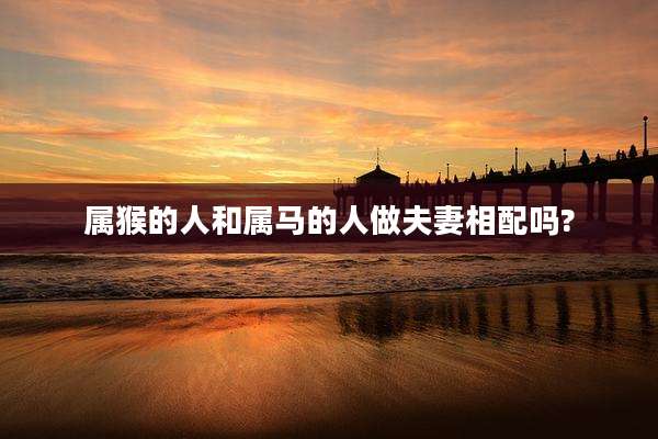 属猴的人和属马的人做夫妻相配吗?