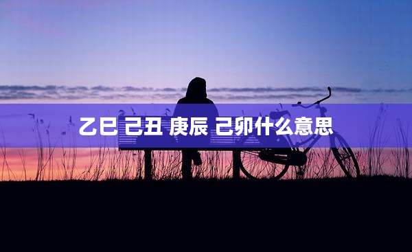 乙巳 己丑 庚辰 己卯什么意思