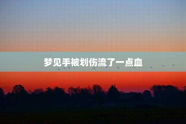 梦见手被划伤流了一点血