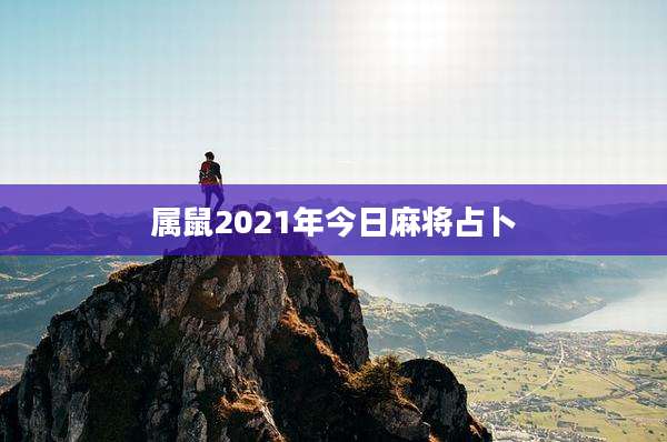 属鼠2021年今日麻将占卜