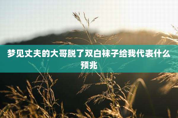 梦见丈夫的大哥脱了双白袜子给我代表什么预兆