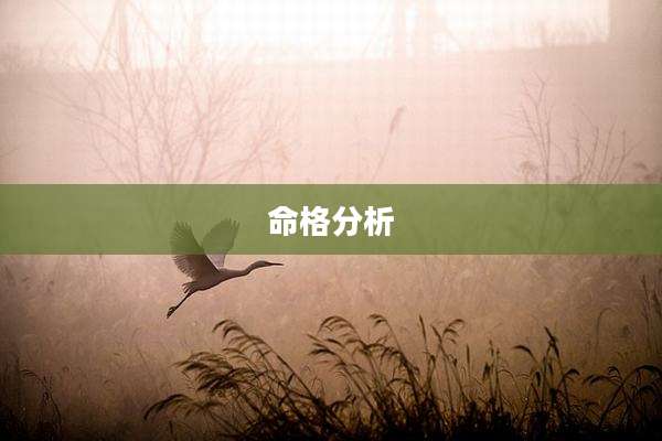 命格分析