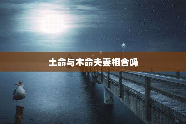 土命与木命夫妻相合吗