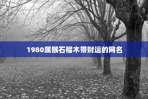 1980属猴石榴木带财运的网名