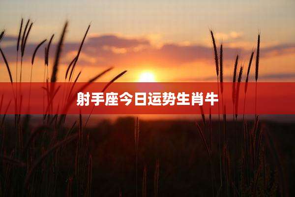 射手座今日运势生肖牛
