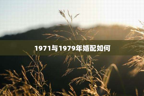 1971与1979年婚配如何