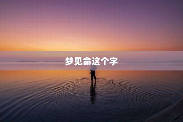 梦见命这个字