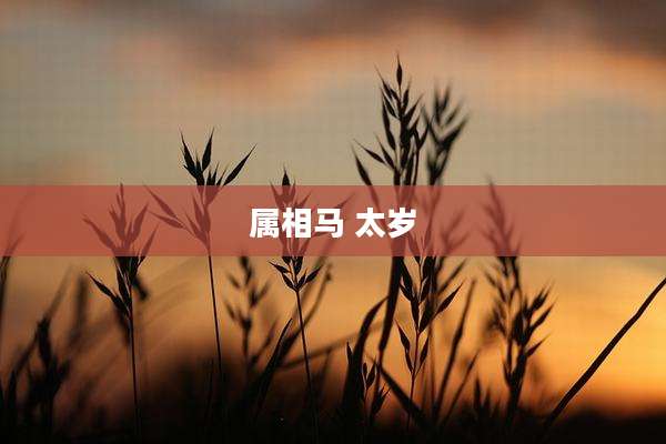 属相马 太岁