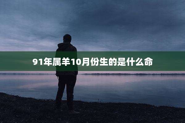 91年属羊10月份生的是什么命