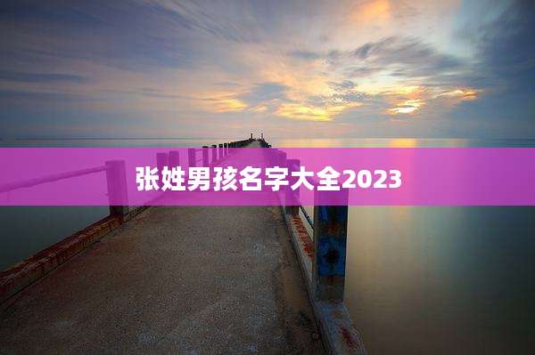 张姓男孩名字大全2023