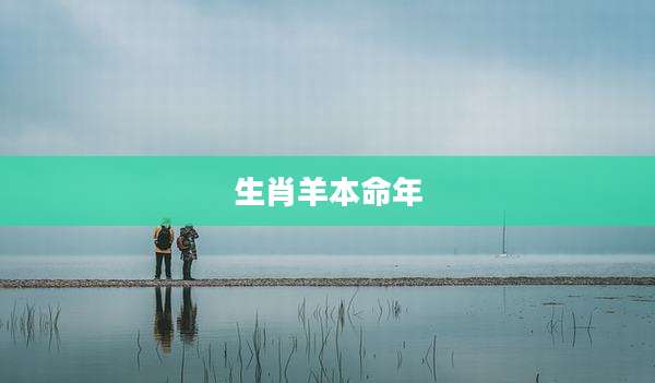 生肖羊本命年