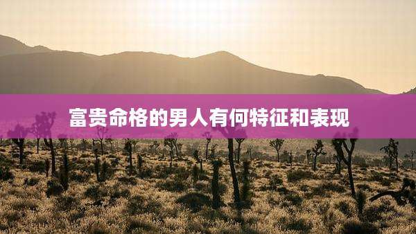 富贵命格的男人有何特征和表现