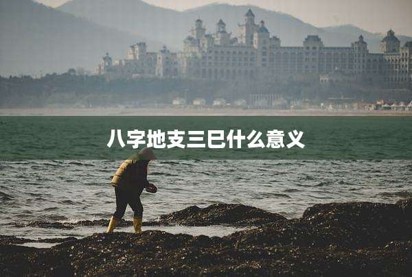 八字地支三巳什么意义