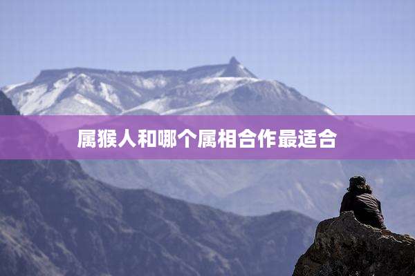 属猴人和哪个属相合作最适合
