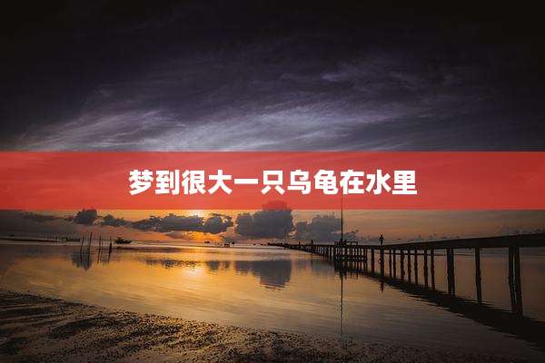 梦到很大一只乌龟在水里
