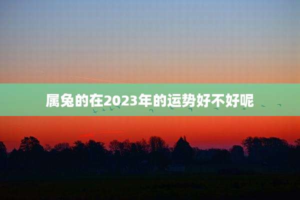 属兔的在2023年的运势好不好呢