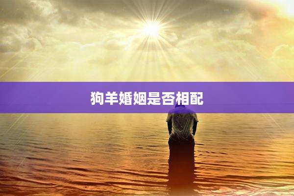狗羊婚姻是否相配