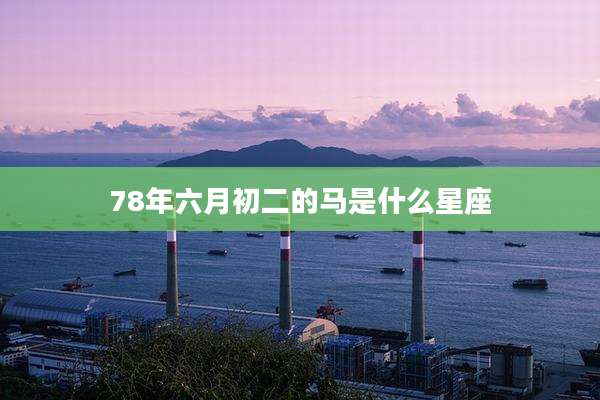 78年六月初二的马是什么星座