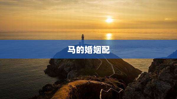 马的婚姻配