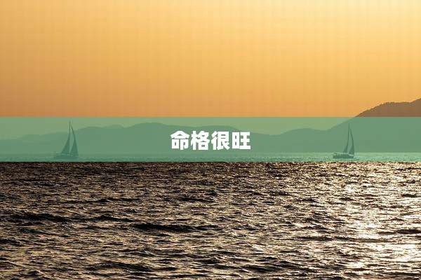 命格很旺