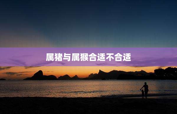 属猪与属猴合适不合适