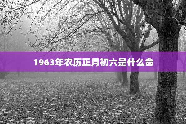 1963年农历正月初六是什么命