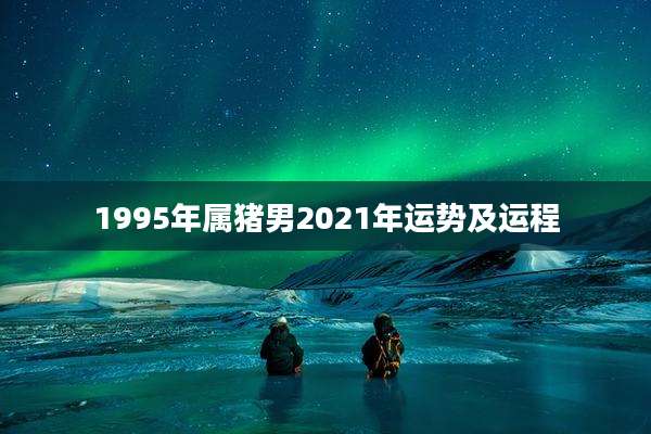1995年属猪男2021年运势及运程