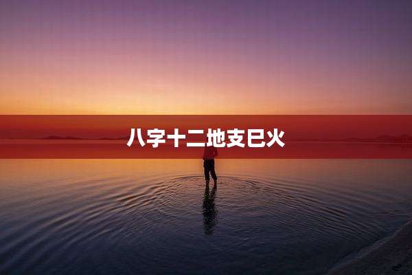 八字十二地支巳火