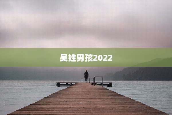 吴姓男孩2022