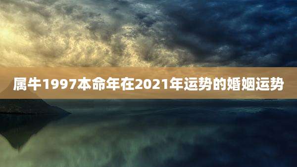 属牛1997本命年在2021年运势的婚姻运势